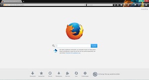 Browser